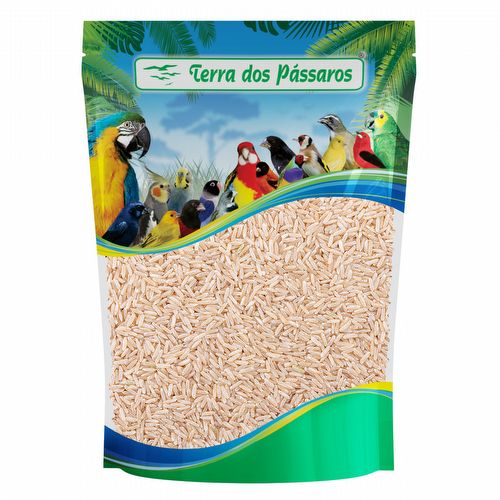 Semente de Arroz Integral Longo Puro - 500g - imagem 1