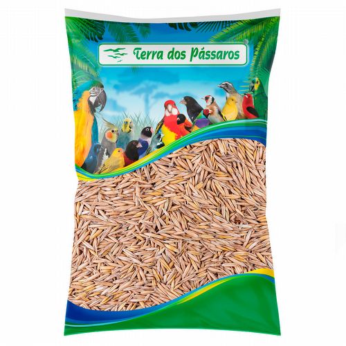 Aveia com Casca - 5kg - imagem 1