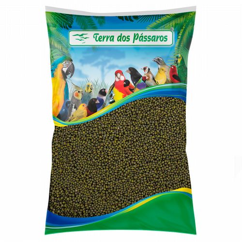 Semente de Feijão Moyashi - 5kg - imagem 1
