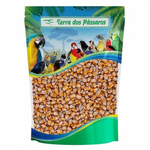 Milho em Grão - 200g - imagem 1