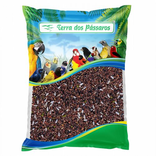 Mistura de Sementes para Germinar ou Cozinhar Canários e Exóticos - 500g - imagem 1