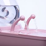 Fonte Bebedouro Caracol - Rosa - imagem 5