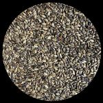 Semente de Cardo Mariano - Silimarina - 5kg - imagem 2