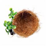 Ninho para Criação de Coleiro - Natural Fibra - Folhas E Presilha - imagem 2