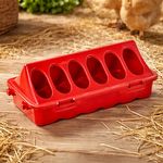 Comedouro Para Codorna Galinha Com 12 Furos -  Vermelho - imagem 2
