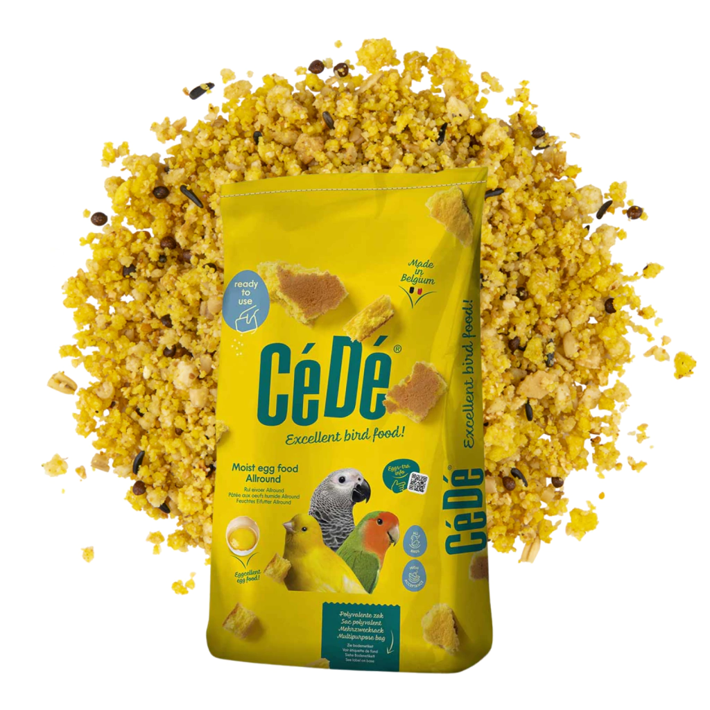 CéDé - All Round - Farinhada para todas as criações - 10Kg  - imagem 2