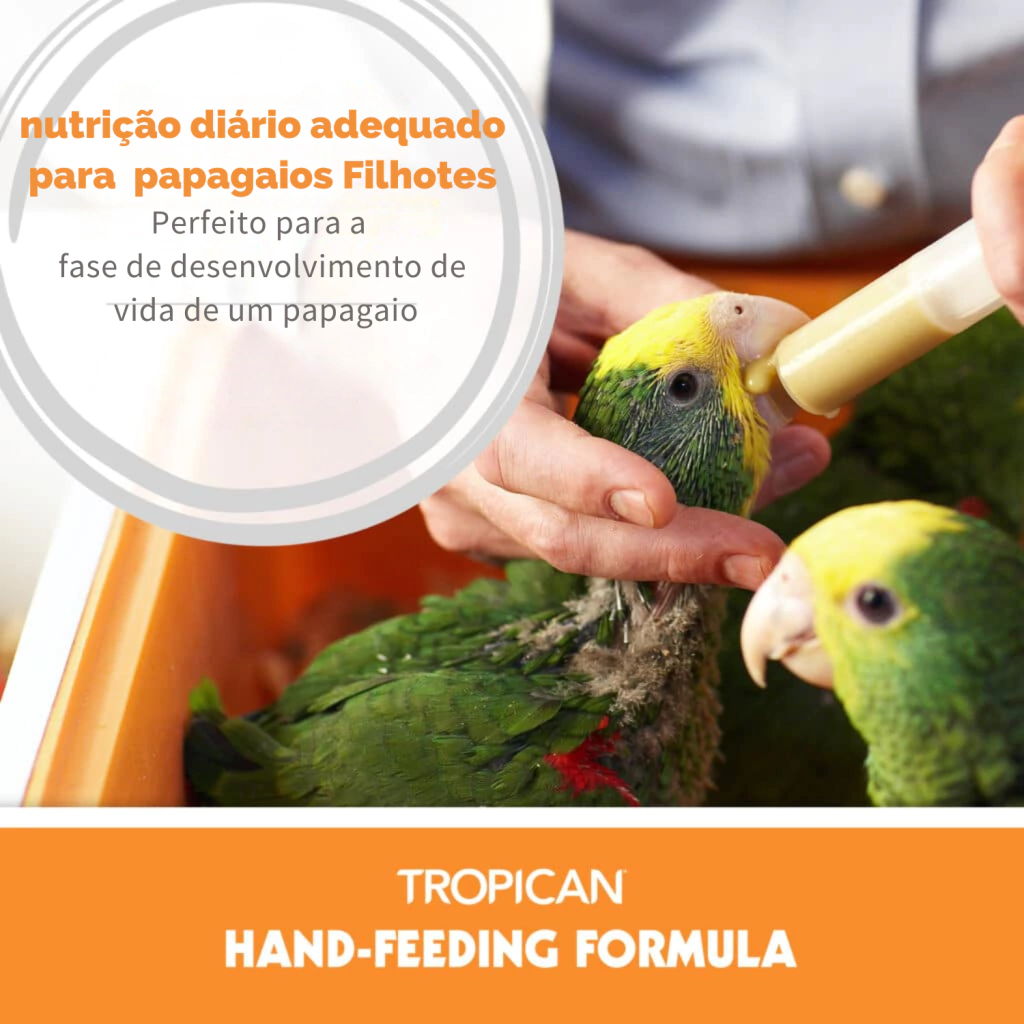 Hari - Tropican Papa à Mão para Filhotes - 2 kg - imagem 3