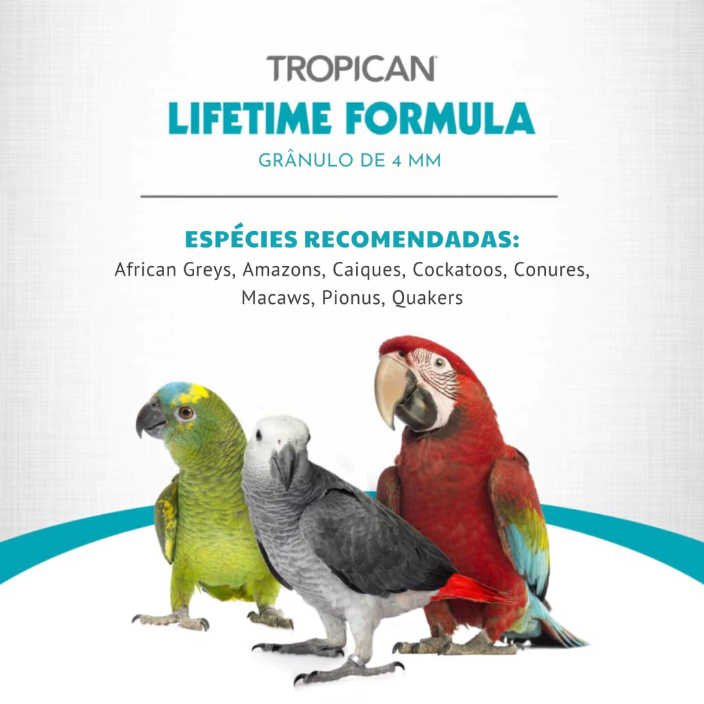 Hari - Extrusada Tropican LT4 - Médios e Grandes Psitacídeos - Bit 4mm - 11,34Kg - imagem 6
