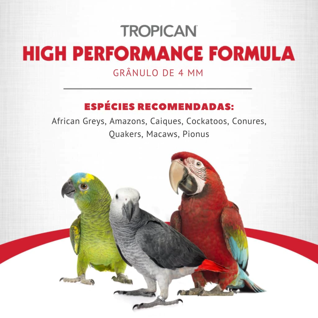 Hari - Extrusada Tropican Alta Performance HP4 - Papagaio - 11,34kg - imagem 5