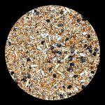 Mistura de Sementes Agapornis Calopsita - Clássica - Sem Girassol - 500g - imagem 2