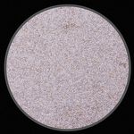 Semente de Alface Lisa - Baba de Verão - 100g - imagem 2