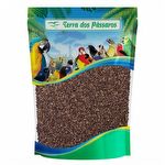 Semente de Almeirão Amarelo - Radiche - 100g