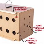 Transportador Aéreo - 1 Pássaro Médio Porte  - imagem 8