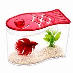 Aquário para Betta - Vermelho - imagem 4