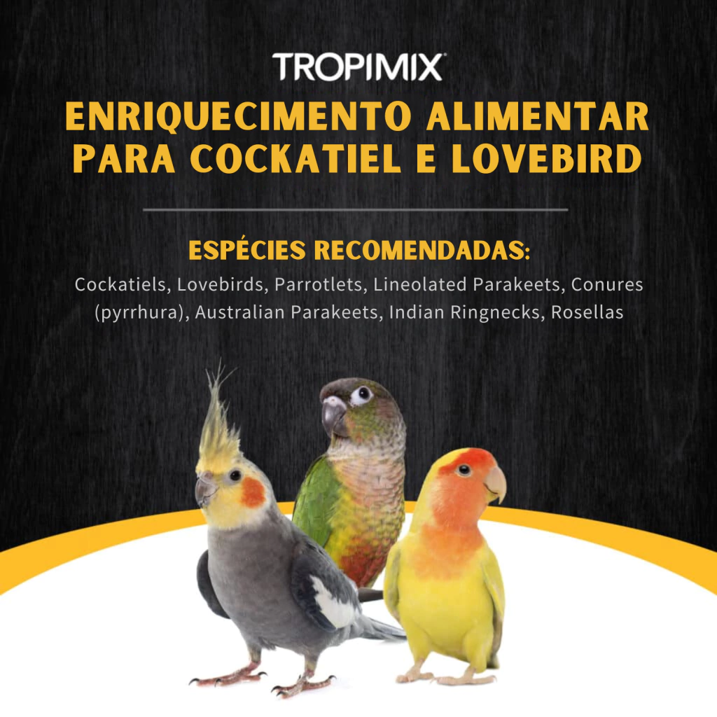 Hari - Tropimix Mistura de Grãos, Frutas Desidratadas, Extrusadas, Sementes para Pequenos e Médios Psitacídeos - 908g - imagem 5