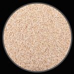 Semente de Arroz Integral Longo Puro - 100g - imagem 2