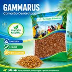 Gammarus Camarão Desidratado - 100g - imagem 5