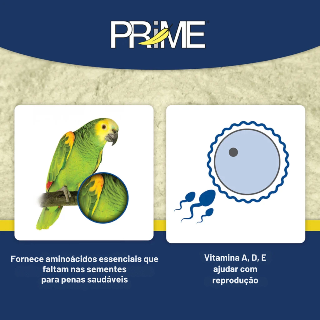 Hari - Prime - Suplemento vitamínico, mineral e de aminoácidos - Rico em Probióticos e enzimas digestivas - imagem 5