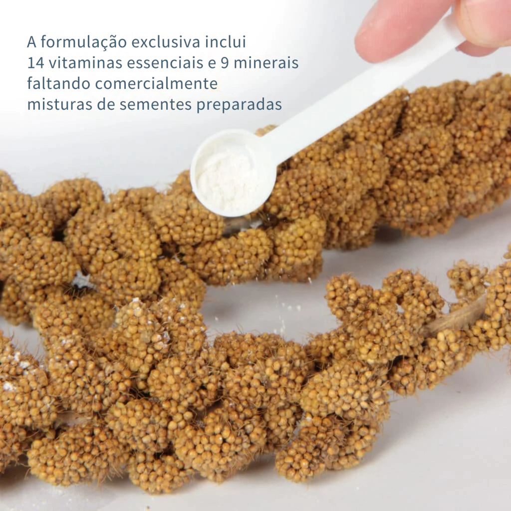 Hari - Prime - Suplemento vitamínico, mineral e de aminoácidos - Rico em Probióticos e enzimas digestivas - imagem 7