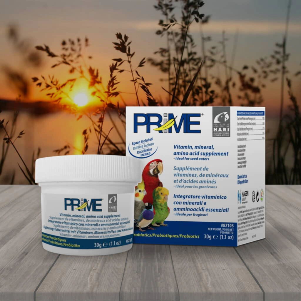 Hari - Prime - Suplemento vitamínico, mineral e de aminoácidos - Rico em Probióticos e enzimas digestivas - imagem 8