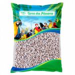 Girassol Descascado - Importado - 2,5kg