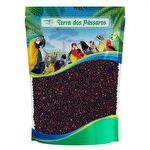 Quinoa Preta - 500g