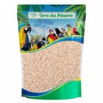 Semente de Arroz Integral Longo Puro - 500g