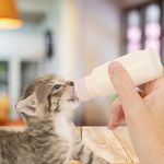 Kit Mamadeira Para Filhotes Pet - 60 ml com 3 Bicos e Escova - imagem 3