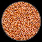 Milho de Pipoca Premium - 200g - imagem 2